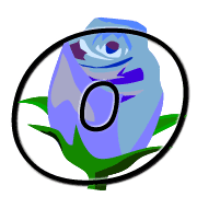 041