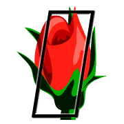 081