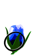 085