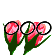 096