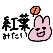026