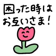 006