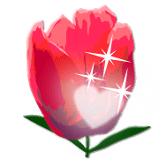 008