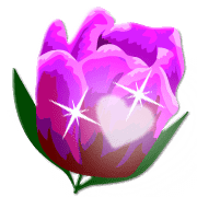 013