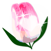 024