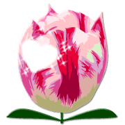 025