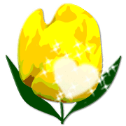 029