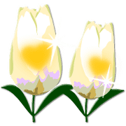 034
