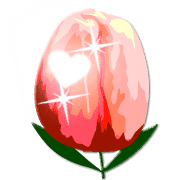 036