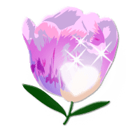 037