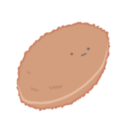 005