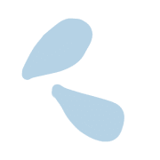 025