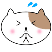 013