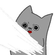019