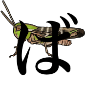 071