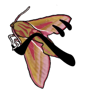 074