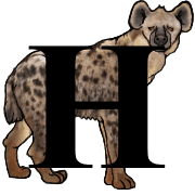 169