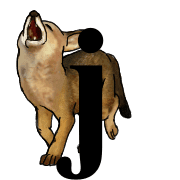 197