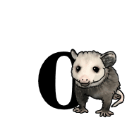 202