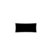 251