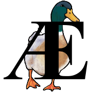 303