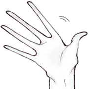 ลายที่ 5