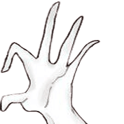 ลายที่ 13