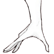ลายที่ 23