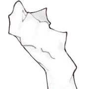ลายที่ 33
