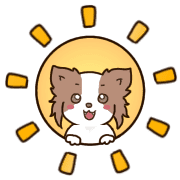 011