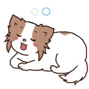 019