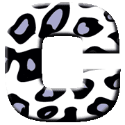 003
