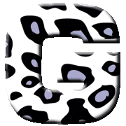 007