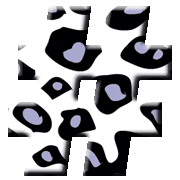 029