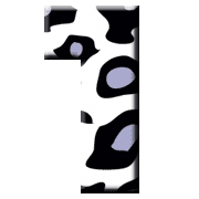 031
