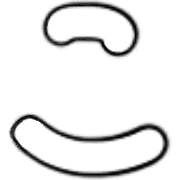 010