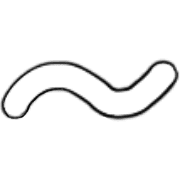 224