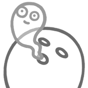 ลายที่ 29