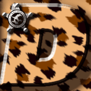 004