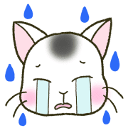 013