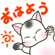 023