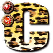 003