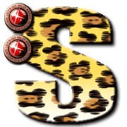 019