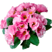 029