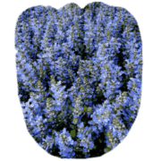039