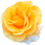 025