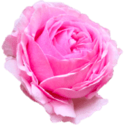 028