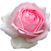 035