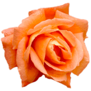 037