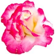 039